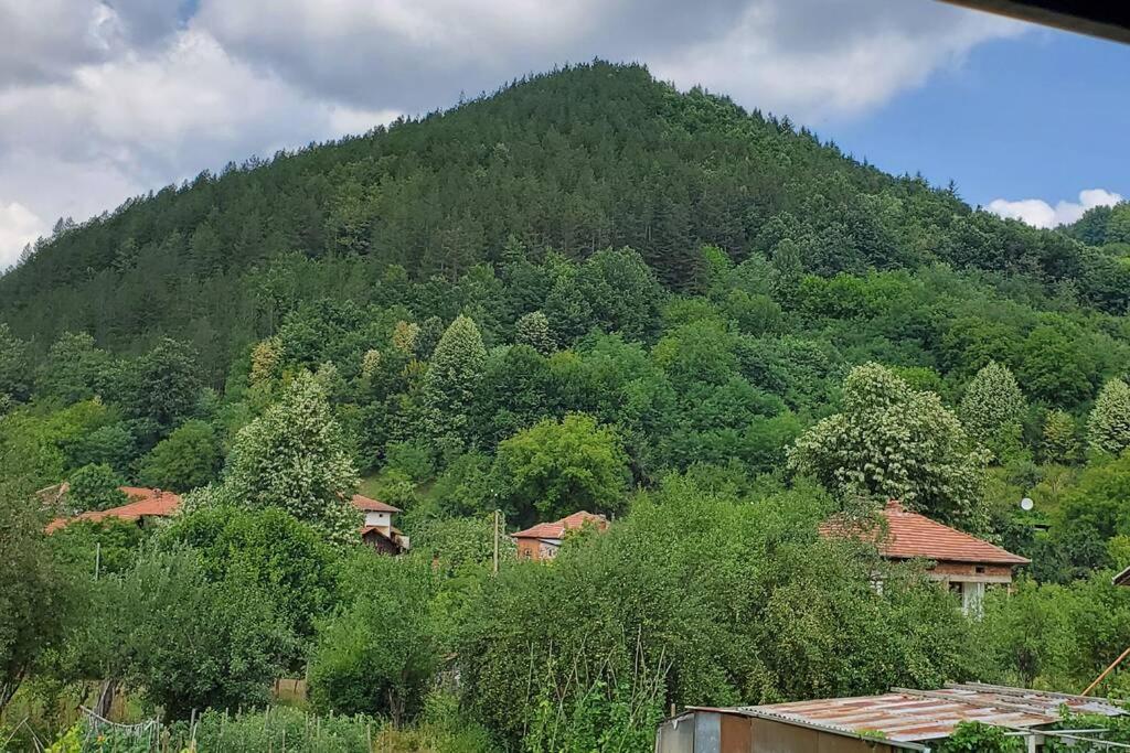 Двете Къщи В Планината Βίλα Beli Osŭm Εξωτερικό φωτογραφία